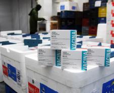 Estado recebe mais de 344 mil vacinas contra a Covid-19 nesta terça