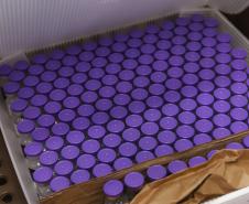 Paraná recebe primeiras doses contra a Covid-19 para adolescentes sem comordidades