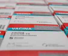 Paraná recebe 133,1 mil vacinas contra a Covid-19