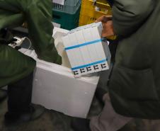  Mais 193 mil vacinas da Pfizer chegam ao Paraná nesta sexta 