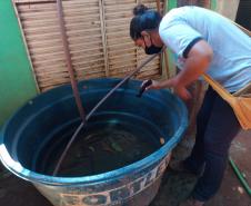 Ações em todo o Estado marcam o “Dia D” no combate à dengue 