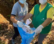 Ações em todo o Estado marcam o “Dia D” no combate à dengue 