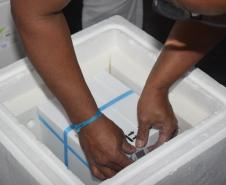 Estado recebe novas doses de vacinas contra a Covid-19 para adolescentes 