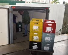 Saúde inicia nova distribuição de mais 671 mil doses aos municípios 
