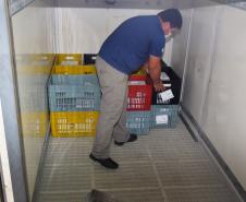 Saúde inicia nova distribuição de mais 671 mil doses aos municípios 