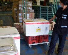 Saúde inicia nova distribuição de mais 671 mil doses aos municípios 