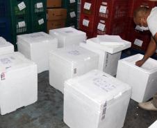 Semana inicia com a chegada de 161.460 novas doses de vacinas contra a Covid-19 