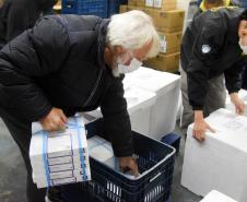 Semana inicia com a chegada de 161.460 novas doses de vacinas contra a Covid-19 