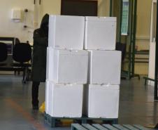 Estado recebe mais de 67,8 mil vacinas contra a Covid-19 nesta terça