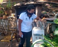 Ações em todo o Estado marcam o “Dia D” no combate à dengue 