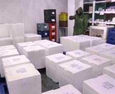  Paraná recebe 278 mil vacinas contra a Covid-19 para adolescentes, segunda dose e municípios de fronteira 