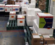Saúde realiza distribuição de mais 176 mil doses aos municípios 