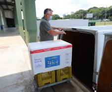 Saúde distribui 79,3 mil vacinas contra a Covid-19 e reforça imunização no Paraná neste fim de ano