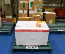 Estado distribui mais 146 mil vacinas contra a Covid-19 