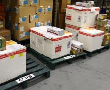 Estado distribui mais 146 mil vacinas contra a Covid-19 