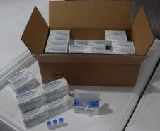 A Secretaria de Estado da Saúde (Sesa) recebeu nesta quarta-feira (8) mais 240.548 vacinas contra a Covid-19.