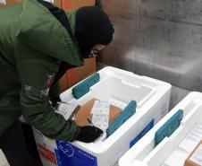 A Secretaria de Estado da Saúde (Sesa) recebeu nesta quarta-feira (8) mais 240.548 vacinas contra a Covid-19.