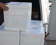 Mais 138 mil vacinas contra a Covid-19 para dose reforço chegam ao Estado