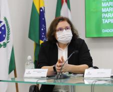 Paraná declara estado de epidemia de H3N2