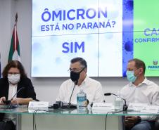 Paraná declara estado de epidemia de H3N2