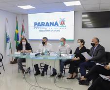 Paraná declara estado de epidemia de H3N2