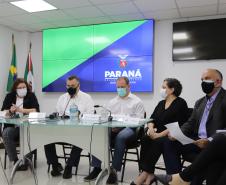 Paraná declara estado de epidemia de H3N2