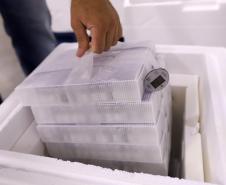 Saúde recebe maior remessa de vacinas contra a Covid-19 desde o início da campanha de vacinação