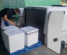  Mais 124 mil vacinas para dose de reforço contra a Covid-19 chegam ao Paraná 