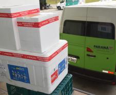 Estado distribui mais 315 mil vacinas contra a Covid-19 e 634 mil testes rápidos