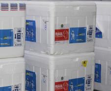Vacinas pediátricas chegam ao Paraná e serão distribuídas nesta quarta (26)