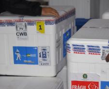 Vacinas pediátricas chegam ao Paraná e serão distribuídas nesta quarta (26)