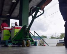 Estado distribui mais 315 mil vacinas contra a Covid-19 e 634 mil testes rápidos
