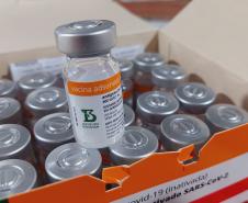 Paraná recebe 914 mil vacinas contra a Covid-19 e mais 294 mil Pfizer devem chegar ainda hoje