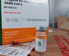 Paraná recebe 914 mil vacinas contra a Covid-19 e mais 294 mil Pfizer devem chegar ainda hoje