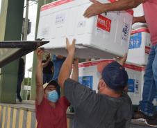  Saúde inicia semana com distribuição de mais 356 mil testes e 467,4 mil vacinas contra a Covid-19