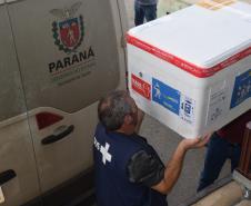  Sesa abastece Regionais com 820 mil vacinas contra a Covid-19 e 754 mil unidades de Tamiflu 