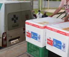  Sesa abastece Regionais com 820 mil vacinas contra a Covid-19 e 754 mil unidades de Tamiflu 