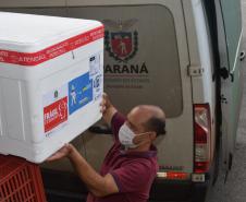  Sesa abastece Regionais com 820 mil vacinas contra a Covid-19 e 754 mil unidades de Tamiflu 