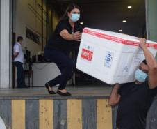 Estado distribui mais de 123 mil vacinas pediátricas nesta terça