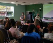 Sesa realiza 2º Encontro de Formação dos Tutores Regionais do PlanificaSUS Paraná