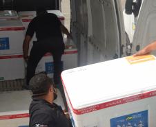 Mais 61 mil vacinas contra a Covid-19 para crianças chegam ao Estado nesta quinta 