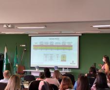 Sesa realiza 2º Encontro de Formação dos Tutores Regionais do PlanificaSUS Paraná