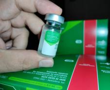 Primeiro lote de vacinas contra a gripe chega ao Paraná