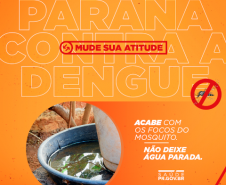Secretaria realiza 1ª reunião do Comitê Intersetorial de Controle da Dengue