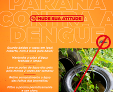 Secretaria realiza 1ª reunião do Comitê Intersetorial de Controle da Dengue