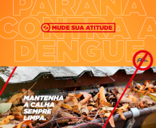 Secretaria realiza 1ª reunião do Comitê Intersetorial de Controle da Dengue