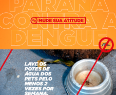 Secretaria realiza 1ª reunião do Comitê Intersetorial de Controle da Dengue