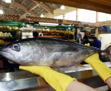 Vigilância Sanitária alerta sobre cuidados na compra de pescados para a Semana Santa.