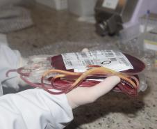 Em ação solidária, Paraná destina 124 bolsas de sangue a Pernambuco