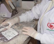 Em ação solidária, Paraná destina 124 bolsas de sangue a Pernambuco